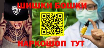 гашик Шелехов