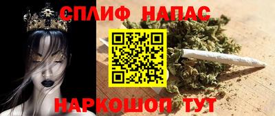 гашик Шелехов