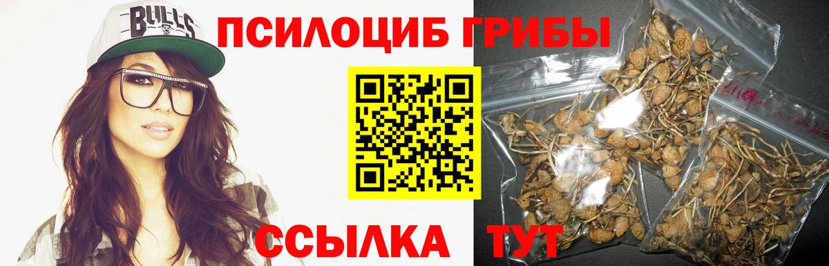 Галлюциногенные грибы Psilocybe  Вход с VPN  Людиново  Псилоцибиновые грибы MAGIC MUSHROOMS 