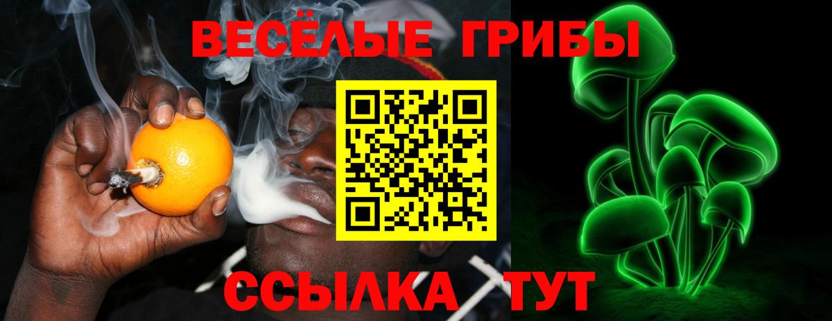 Псилоцибиновые грибы Psilocybe Людиново